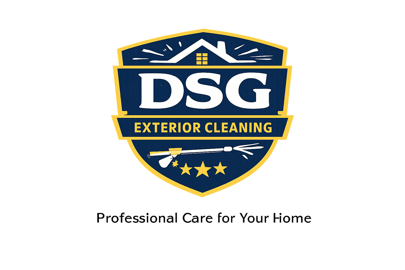 DSG Exterior Cleaning logo